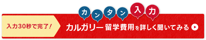 ネスグローバルのキャリア留学 サンディエゴ留学問い合わせ