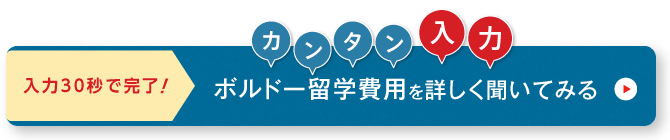 ネスグローバルのキャリア留学 ボルドー留学問い合わせ