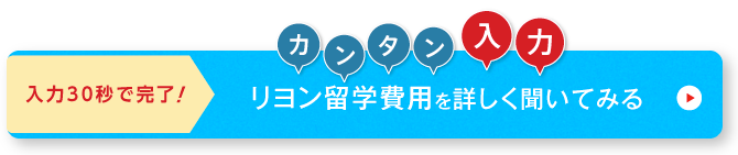 ネスグローバルのキャリア留学 リヨン留学問い合わせ