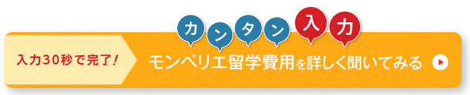 ネスグローバルのキャリア留学 モンペリエ留学問い合わせ