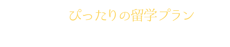 あなたにぴったりの留学プランをご提案させて頂きます。