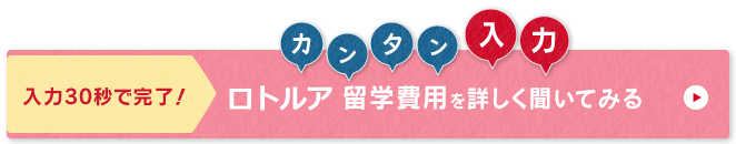 ネスグローバルのキャリア留学 ロトルア留学問い合わせ