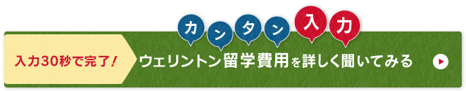 ネスグローバルのキャリア留学 ウェリントン留学問い合わせ