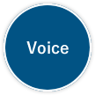 Voice