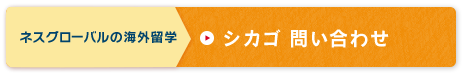 シカゴ留学費用を詳しく聞いてみる